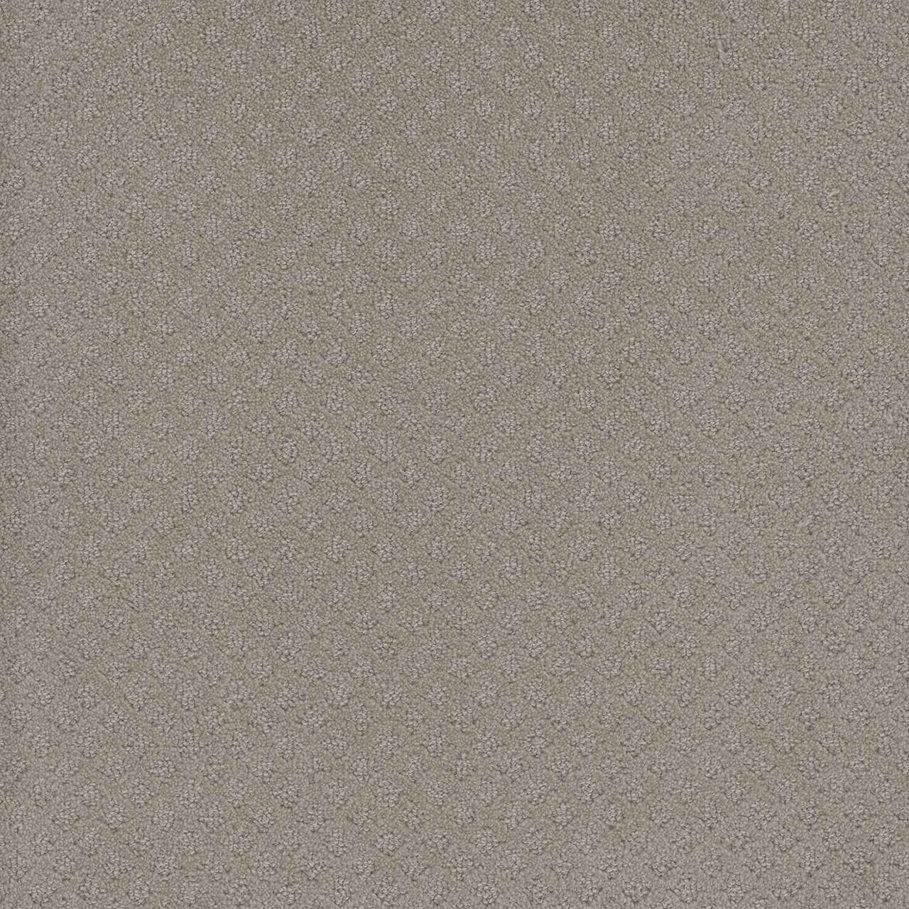 DreamWeaver Capri