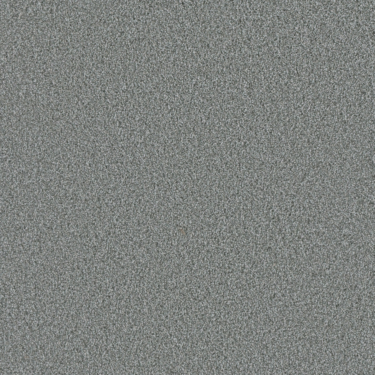DreamWeaver Metropolis