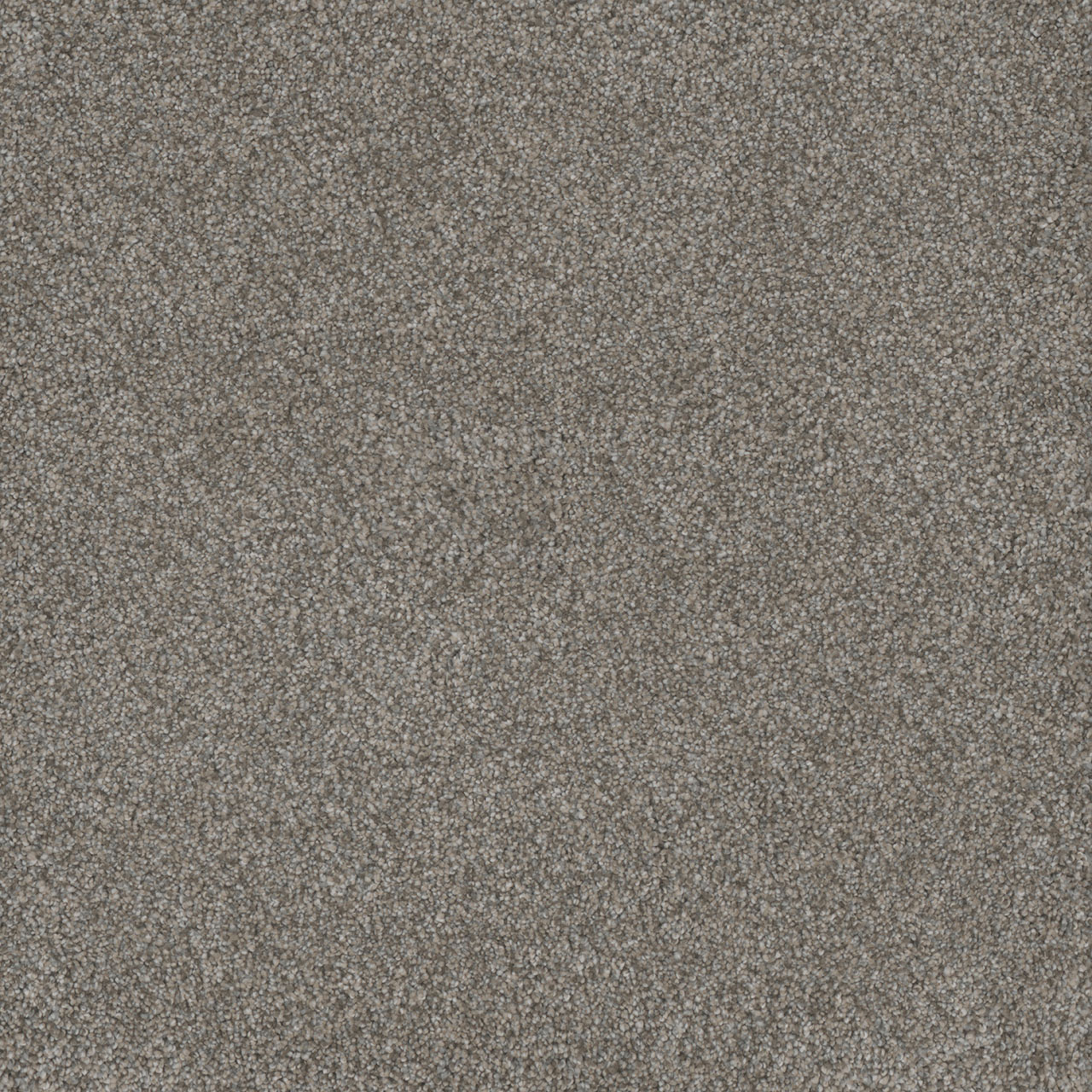 DreamWeaver Monte Carlo