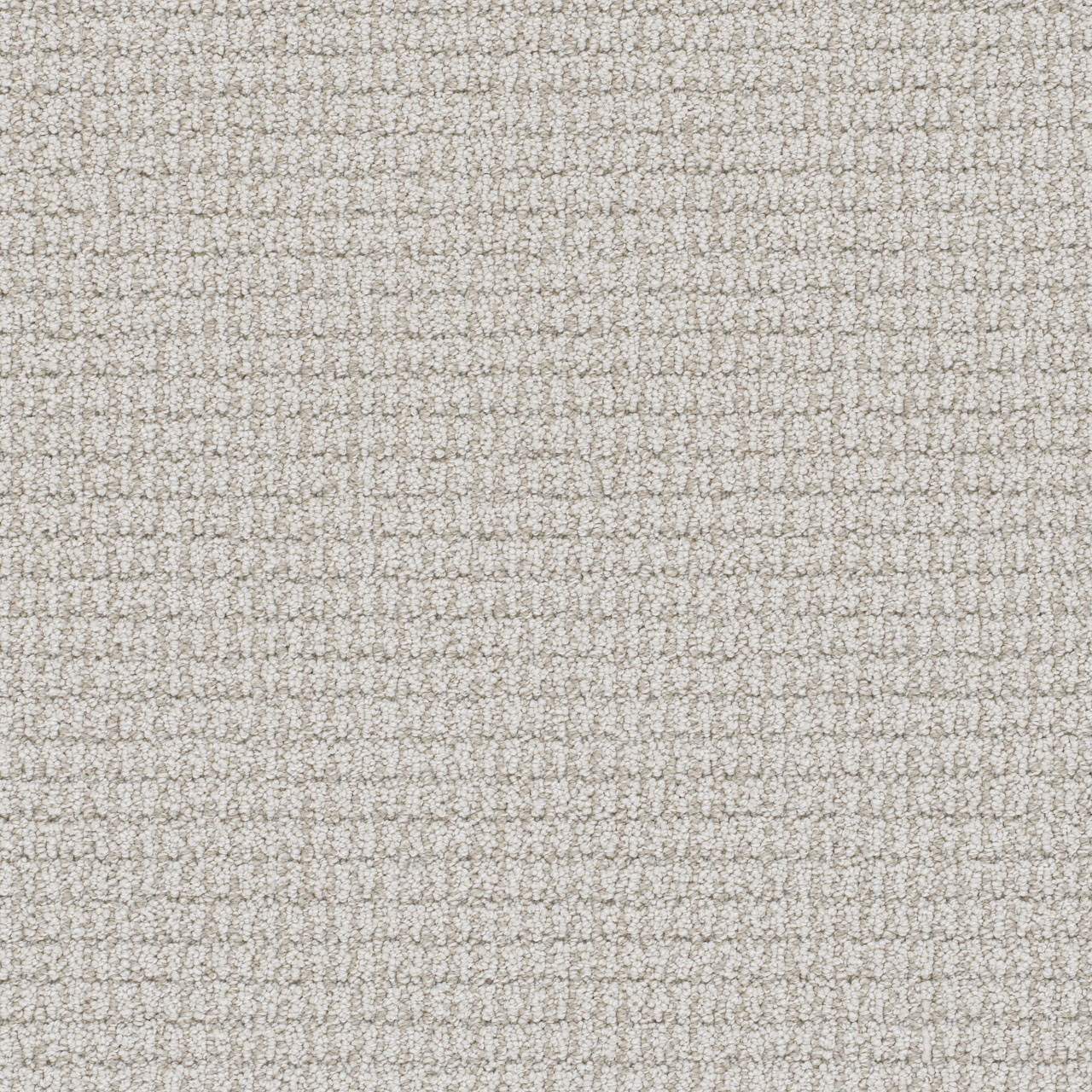 DreamWeaver Palma