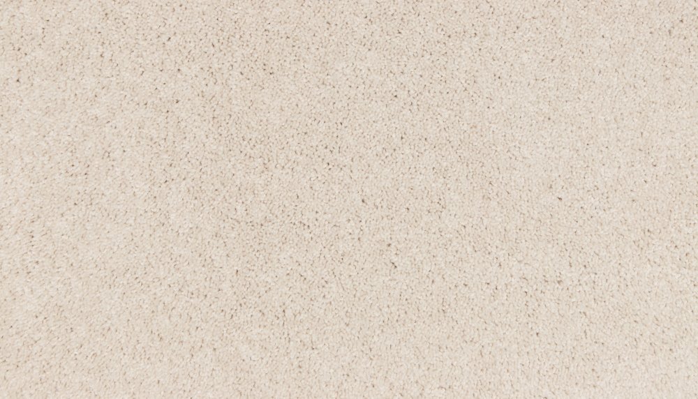Mohawk Neutral Base Plus
