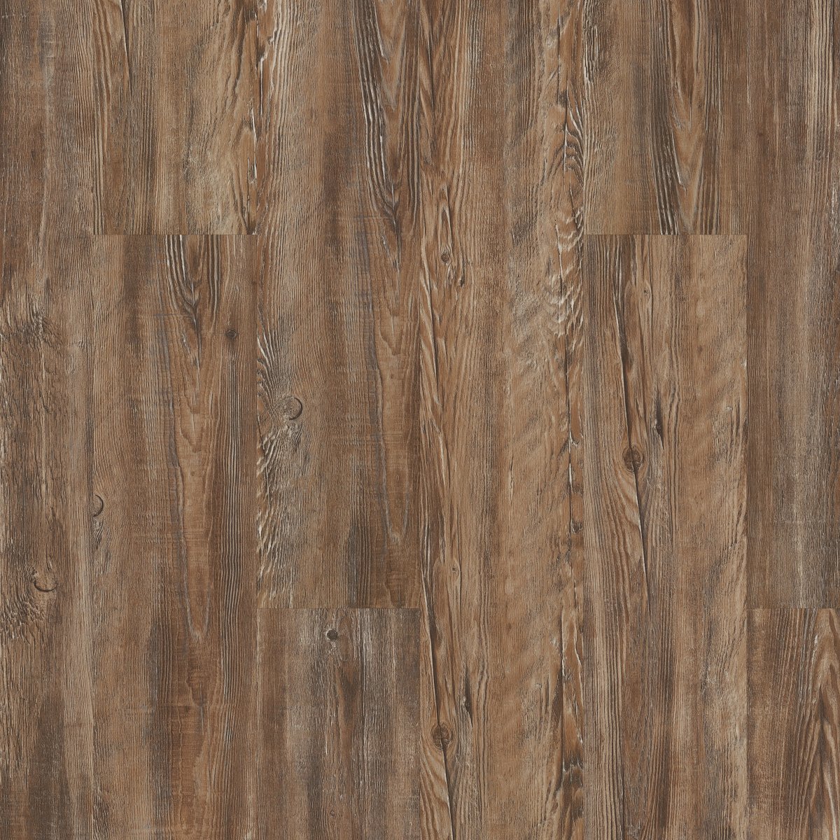 Shaw Foundation Plank