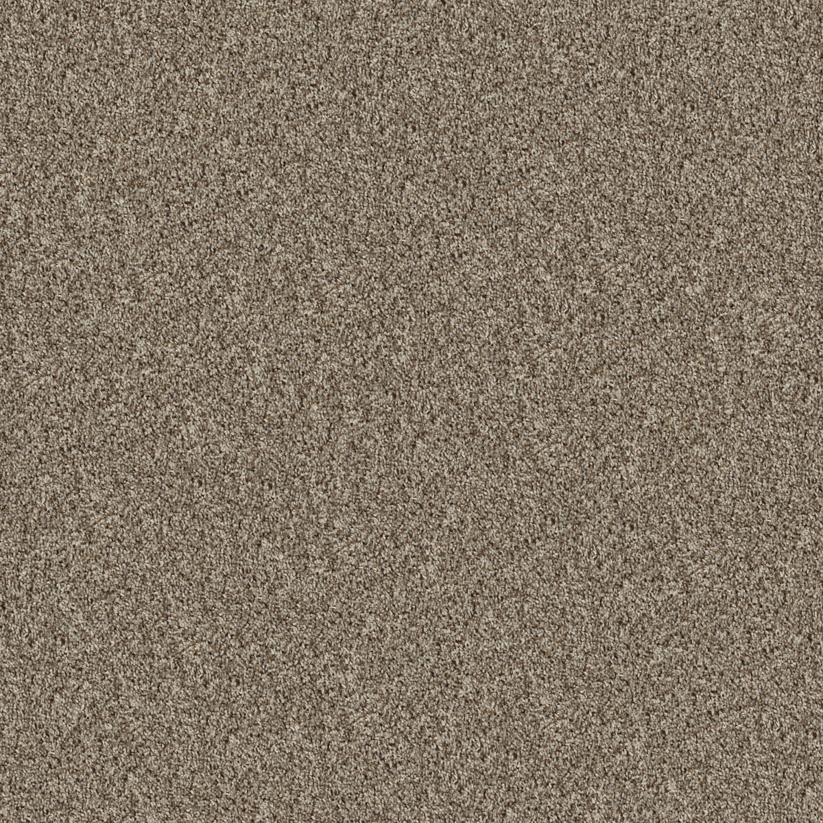 Shaw Venture Tonal