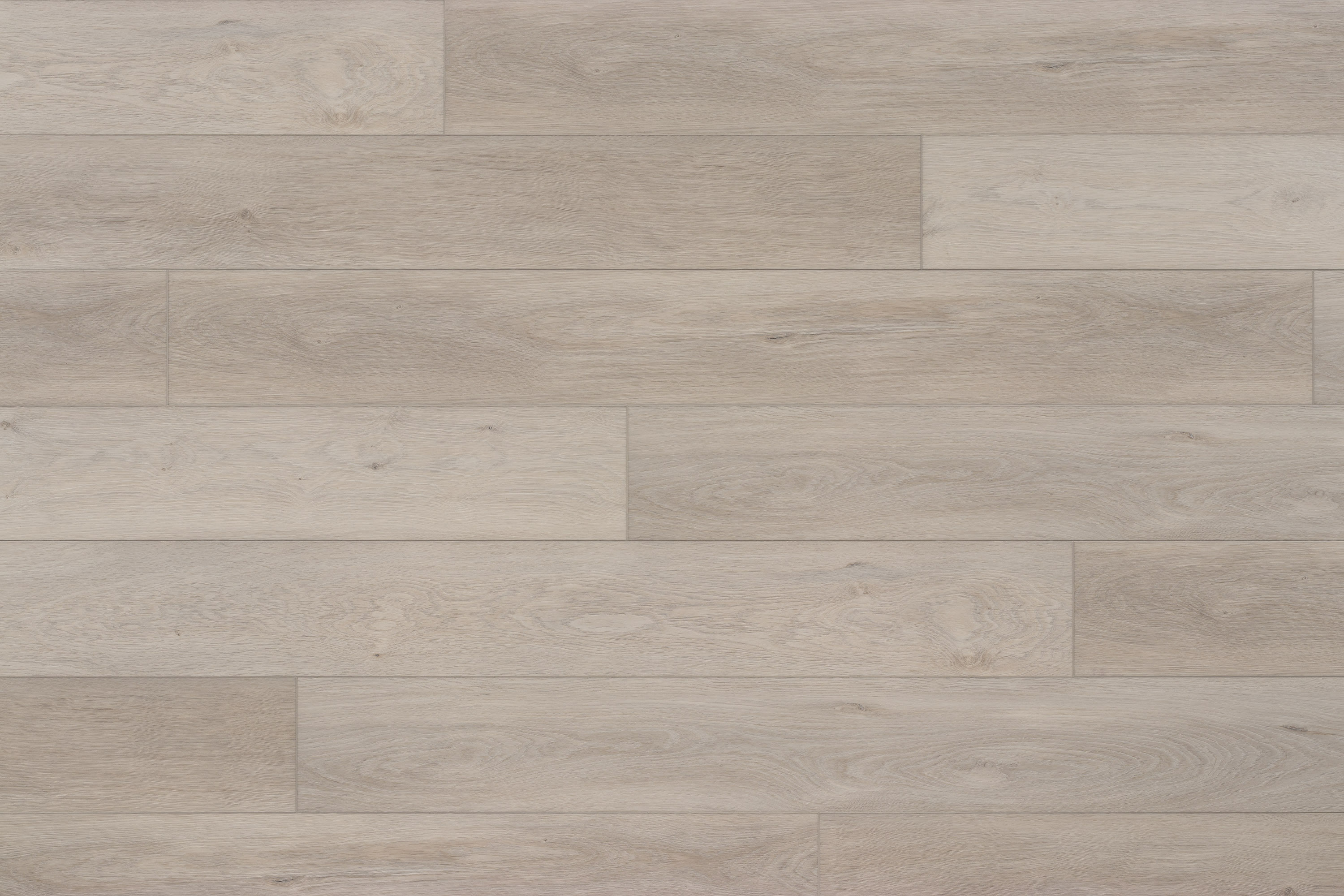 Evoke Gaela