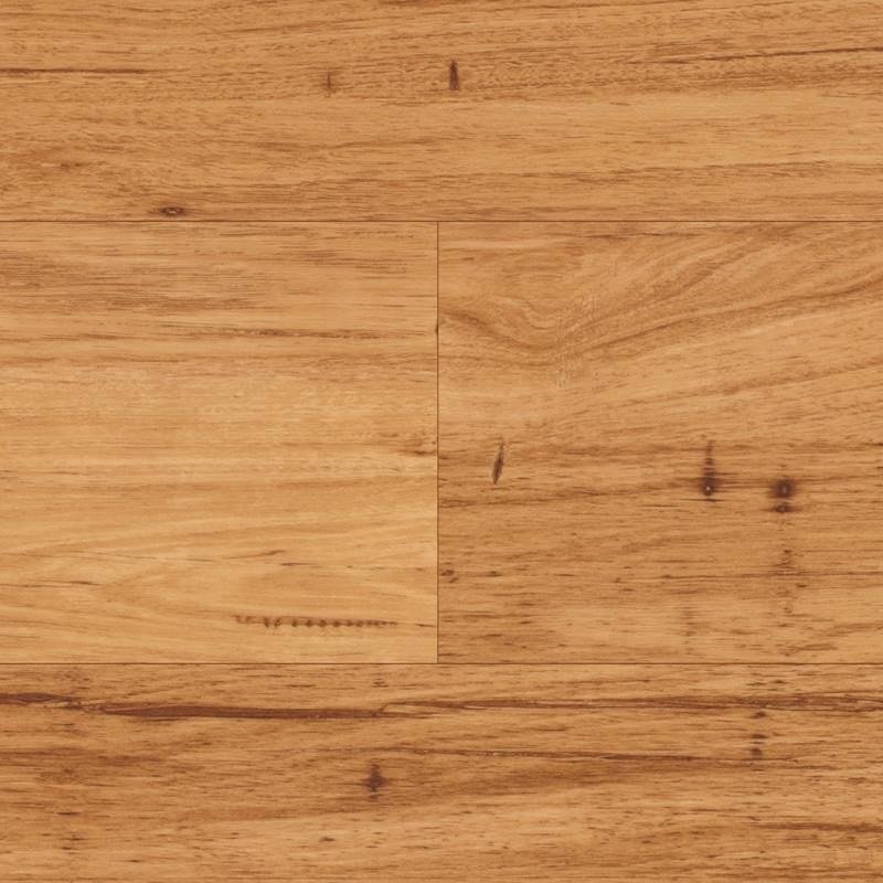 Daybreak Sunrise Oak